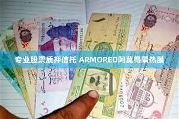 专业股票质押信托 ARMORED阿莫得隔热膜