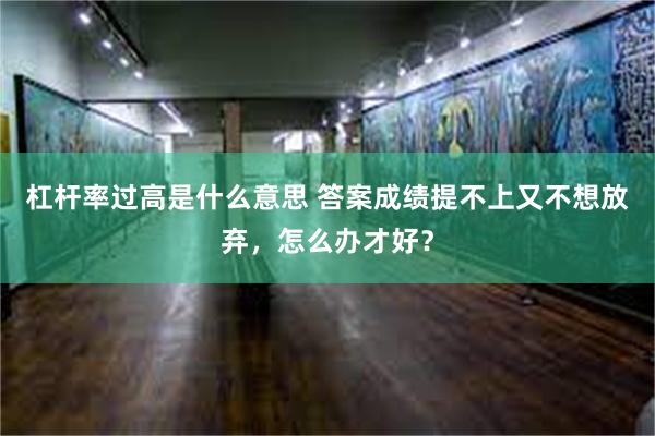 杠杆率过高是什么意思 答案成绩提不上又不想放弃，怎么办才好？