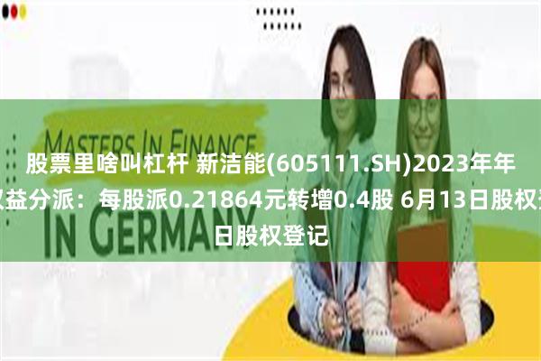 股票里啥叫杠杆 新洁能(605111.SH)2023年年度权益分派：每股派0.21864元转增0.4股 6月13日股权登记