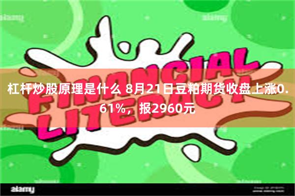 杠杆炒股原理是什么 8月21日豆粕期货收盘上涨0.61%，报2960元