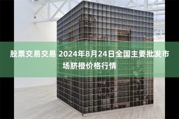 股票交易交易 2024年8月24日全国主要批发市场脐橙价格行情